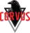 Corvus Corvus